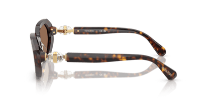 Dark Havana - 0SK6028 8056262237359