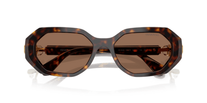 Dark Havana - 0SK6028 8056262237359