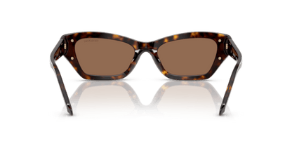 Dark Havana - 0SK6029 8056262222485