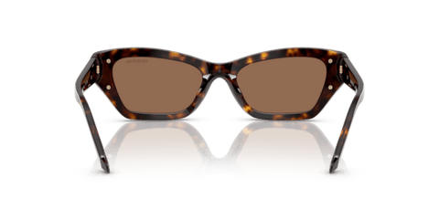 Dark Havana - 0SK6029 8056262222485
