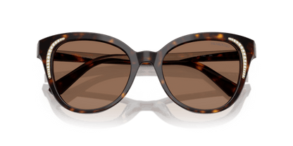 Dark Havana - 0SK6031 8056262222577