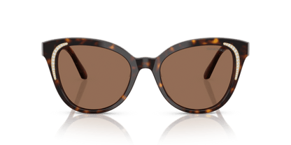 Dark Havana - 0SK6031 8056262222577