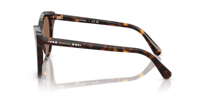 Dark Havana - 0SK6031 8056262222577