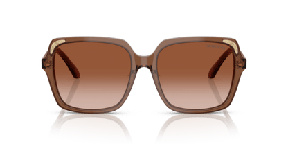 Transparent Brown - 0SK6034D 8056262240632