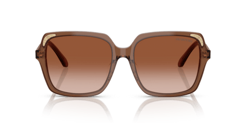 Transparent Brown - 0SK6034D 8056262240632