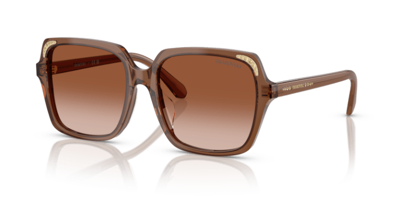 Transparent Brown - 0SK6034D 8056262240632