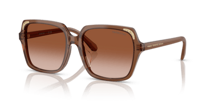 Transparent Brown - 0SK6034D 8056262240632