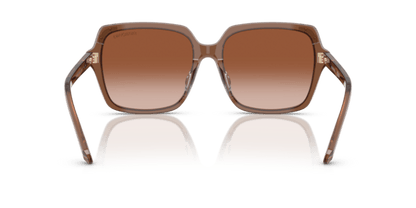 Transparent Brown - 0SK6034D 8056262240632