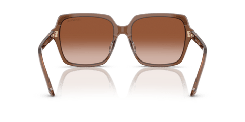 Transparent Brown - 0SK6034D 8056262240632