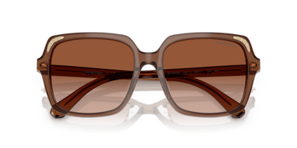 Transparent Brown - 0SK6034D 8056262240632