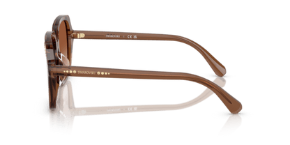 Transparent Brown - 0SK6034D 8056262240632