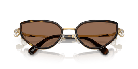 Gold/Havana - 0SK7027 8056262220306