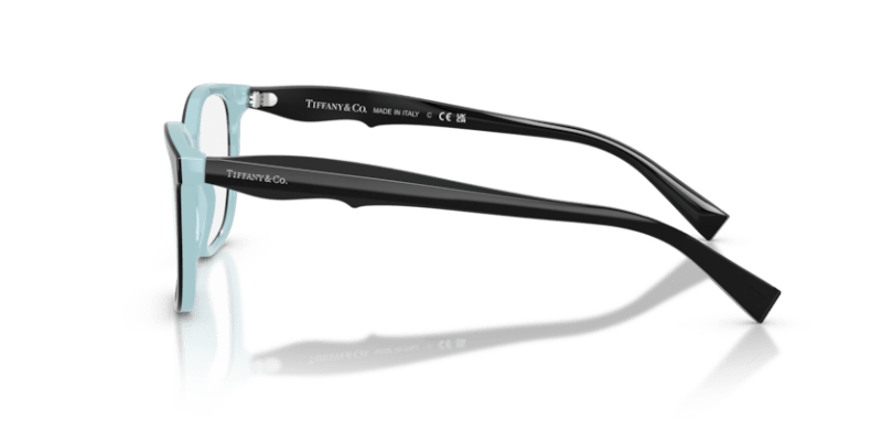 Black On Tiffany Blue - 0TF2175 8053672944730