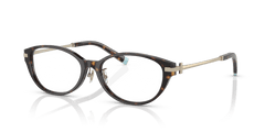 0TF2225D - Tiffany - Tortoise - (Havana 8015) - 53 - 16 - 145 MM - Ardor Eyewear 8056597751025