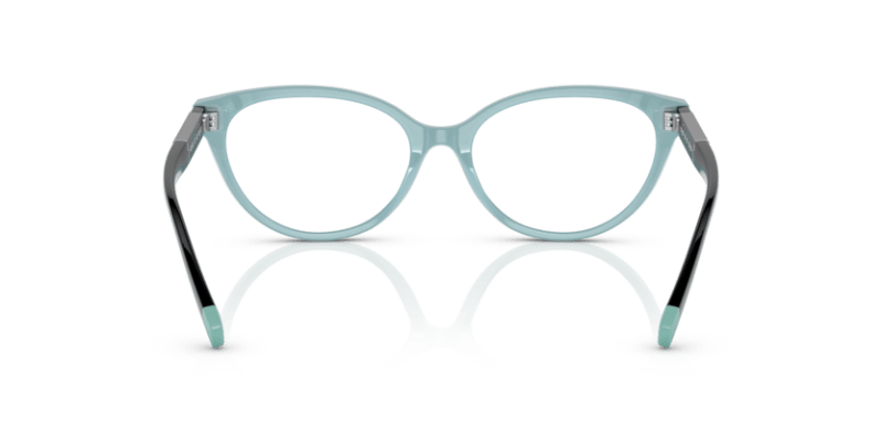 Black On Tiffany Blue - 0TF2226 8056597750790