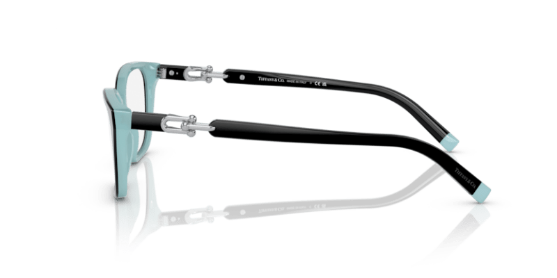 Black On Tiffany Blue - 0TF2229 8056597751117