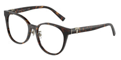 0TF2238D - Tiffany - Tortoise - (Havana 8015) - 53 - 18 - 145 MM - Ardor Eyewear 8056597851268