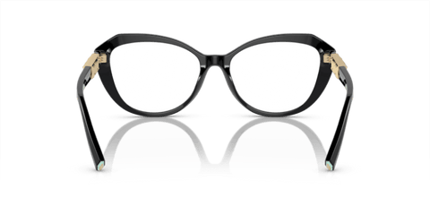 Black - 0TF2241B 8056597916684