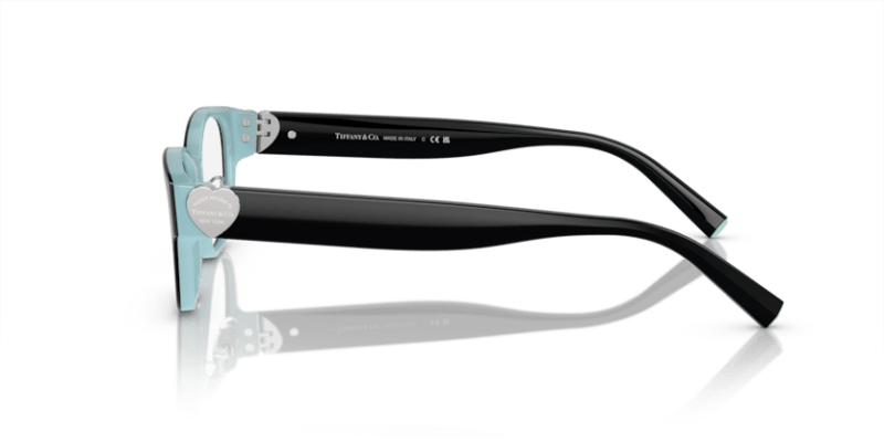 Black On Tiffany Blue - 0TF2243D 8056597919074