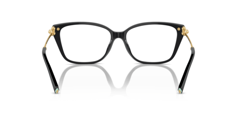 Black - 0TF2248K 8056262003299