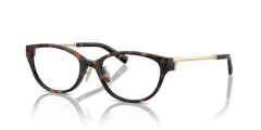 0TF2252D - Tiffany - Tortoise - (Havana 8015) - 51 - 18 - 140 MM - Ardor Eyewear 8056262010600