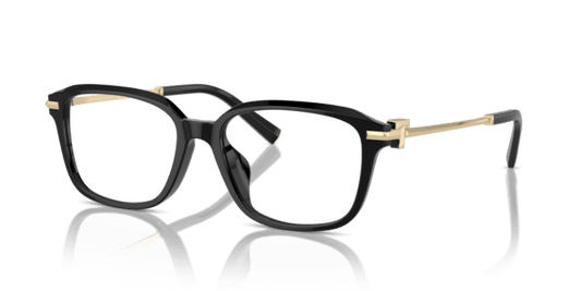 Black - 0TF2253D 8056262010679