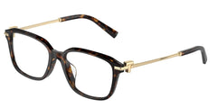 0TF2253D - Tiffany - Tortoise - (Havana 8015) - 54 - 17 - 145 MM - Ardor Eyewear 8056262010686