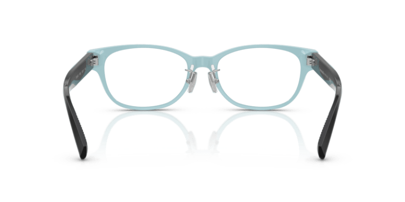 Black On Tiffany Blue - 0TF2263D 8056262184783