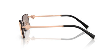 Rose Gold - 0TF3108B 8056262294901