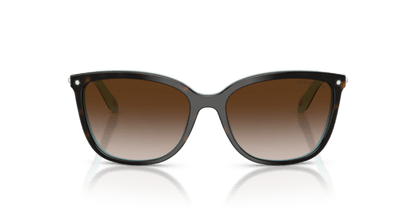 Havana - 0TF4105HB 8053672363241