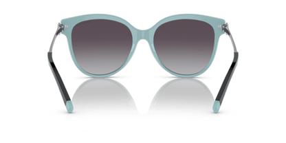 Black On Tiffany Blue - 0TF4193B 8056597667210