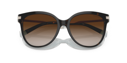 Havana On Tiffany Blue - 0TF4193B 8056597667227