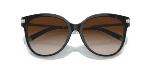Havana On Tiffany Blue - 0TF4193B 8056597667227