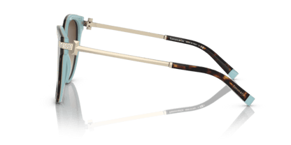 Havana On Tiffany Blue - 0TF4193B 8056597667227