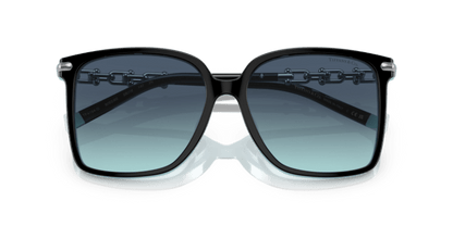 Black On Tiffany Blue - 0TF4194D 8056597752497