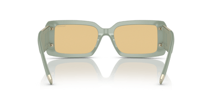 Matte Green - 0TF4197 8056597763356