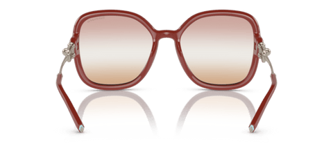 Solid Burgundy - 0TF4202U 8056597886260