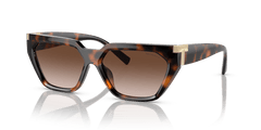 0TF4205U - Tiffany - (Havana) Brown Gradient - 56 - 14 - 140 MM - Ardor Eyewear 8056597850810