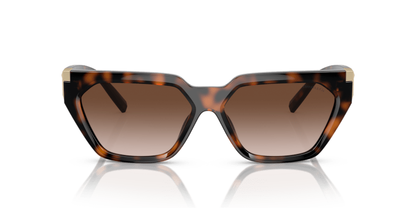 0TF4205U - Tiffany - (Havana) Brown Gradient - 56 - 14 - 140 MM - Ardor Eyewear 8056597850810