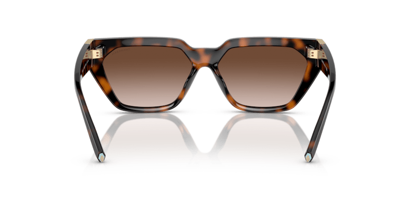 0TF4205U - Tiffany - (Havana) Brown Gradient - 56 - 14 - 140 MM - Ardor Eyewear 8056597850810