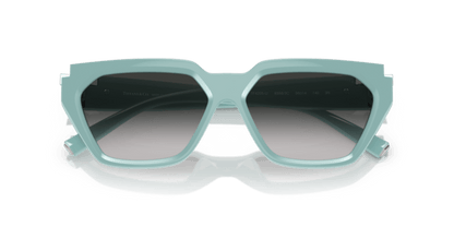 Tiffany Blue - 0TF4205U 8056597901673