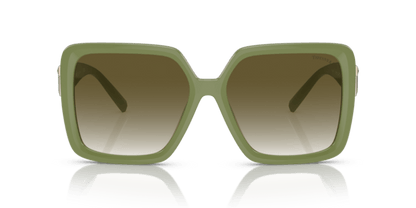 Khaki - 0TF4206U 8056597851015