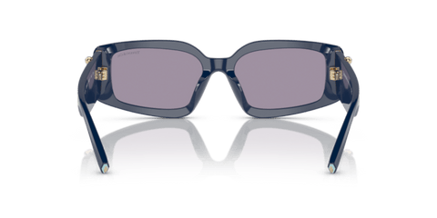 Spectrum Blue - 0TF4208U 8056597852463