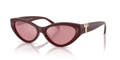 Burgundy - 0TF4225U 8056262189764