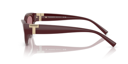 Burgundy - 0TF4225U 8056262189764