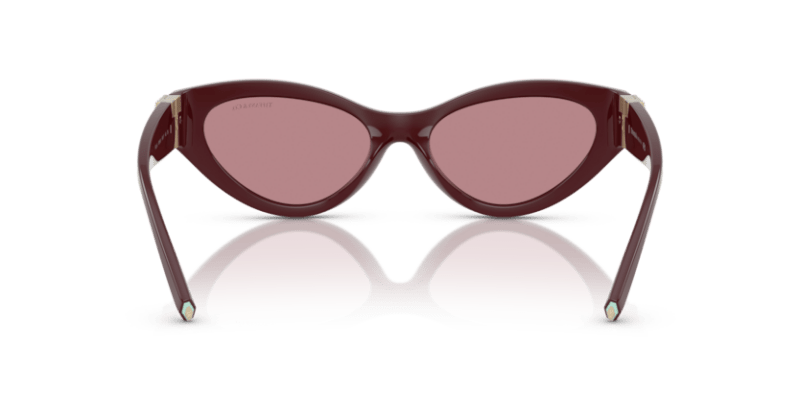 Burgundy - 0TF4225U 8056262189764