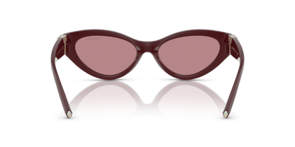 Burgundy - 0TF4225U 8056262189764