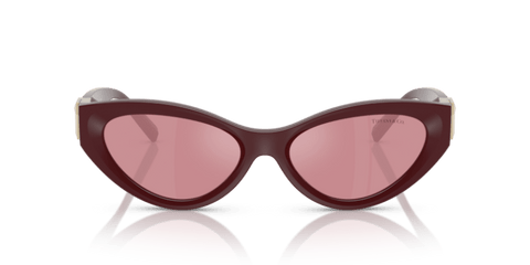 Burgundy - 0TF4225U 8056262189764