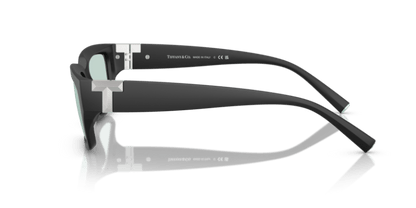 Matte Black - 0TF4226U 8056262189566