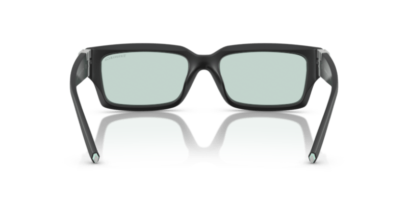 Matte Black - 0TF4226U 8056262189566